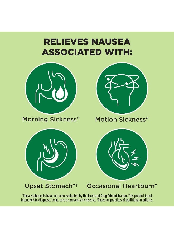 Dramamine Ginger Chews, Nausea Relief Soft Chews Lemon-Honey-Ginger, 40 Count - Image 3